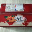 홍순이감귤농장 네이버블로그