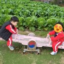 선민농장 이미지