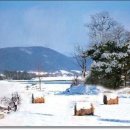 그대 안에그대 이미지