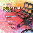 디에스아이