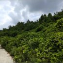 금마면 고정마을회관 이미지