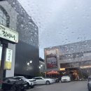 백마 | (매봉/도곡) 도곡동 맛집으로 오랫동안 자리 지켜온 백마김씨네 내돈내산 후기