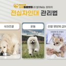 양구동물병원 이미지