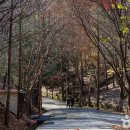 동구청소년수련원 이미지