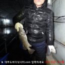 솔하우스 이미지