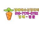 마당넒은집 네이버블로그