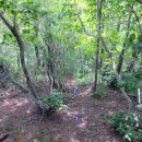 매화산주유소 이미지