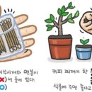 예쁜말바른말 - ‘개비’와 ‘움큼’/ 서울 양진초 교장 류덕엽 이미지