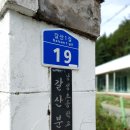 낭성초 갈산분교 | 예약이 어려운 곳은 이유가 있다 / 청주키즈캠핑장