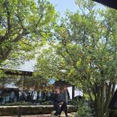 방선문 | [제주공항 근처카페추천 ]제주 유지커피웍스 후기