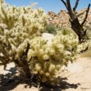 (주)썬트랙 이미지