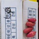 달콤한한입
