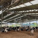 고창축산 이미지