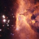 한국영양전문동물병원 이미지