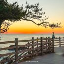 바다와하얀등대 | 경주 일출 명소 추천 바다 드라이브 송대말등대