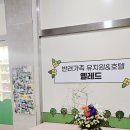 옐레드 애견유치원 & 애견호텔 대전노은점 이미지