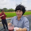 블루베리 민