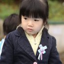 숲속의하모니 이미지