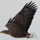 수리 Daum카페