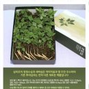 뿌리깊은나무태권도장 이미지