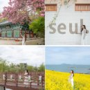 다송농장 | 전북 부안 가볼만한곳 5월 부안마실축제 해뜰마루 여행 코스