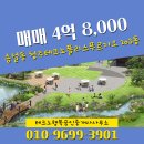 테크노행복공인중개사사무소 이미지