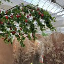 알로만농장 이미지