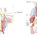 성품교육관 유신태권도장 이미지