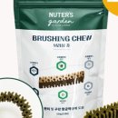 덴탈링크 이미지