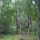 칠천량해전길 이미지