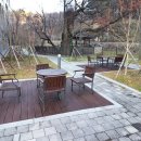 푸른숲부동산공인중개사사무소 이미지