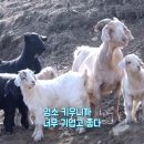 지영농장(2농장) 이미지