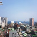 광안 더숲스카이뷰 네이버블로그