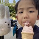 (주)알라딘식품