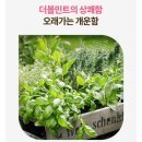 덴탈버디 이미지