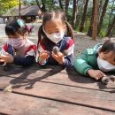 창수초등학교병설유치원 이미지