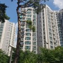 밤섬자이공인중개사사무소 이미지