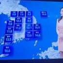 달마고도민박 이미지