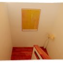 광이멀 103 이미지