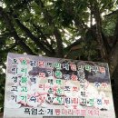 다리건너첫집 이미지