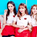 피에스타 이미지