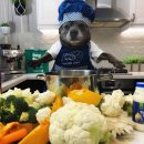 댕댕셰프 이미지