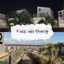 해맞이타운 | 제주도 게스트하우스 파티 틴더타운 핫플 제주 게하 내돈내산 후기
