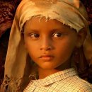 여행자의노래 이미지