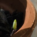 연부농장 이미지