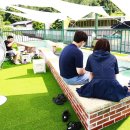 멍스타 | 담양애견동반펜션 담양 멍스타에서 강아지와 물놀이 여행 후기