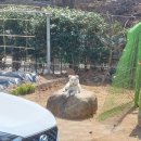 돌트미스테이 이미지