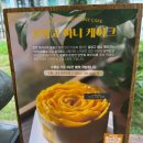 광주근교 카페 &lt;더비&gt; 초대형 베이커리카페 데이트, 단체모임 추천 자세한 후기