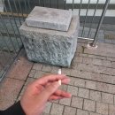 비원메드 | Xlayer를 홍보하며 느낀 점 (솔직후기)