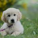 두리동물병원 이미지